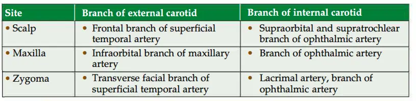 Anastomosis between external carotid artery and internal carotid artry (Contd.)