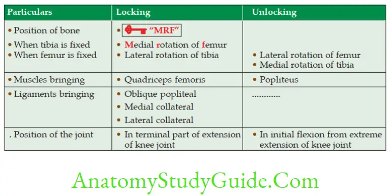 Anatomy Joints Of Lower Limbs Difference Between Locking And Unlocking Of Knee Joint