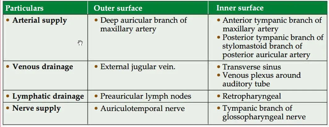 Blood supply, lymphatic drainage and nerve supply of tympanic membrane