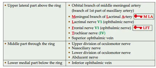 Contents of superior orbital fissure