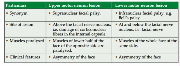 Differences between upper motor neuron and lower motor neuron lesions