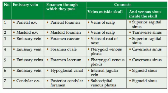 Emissary veins connecting extracranial veins to the intracranial venous sinus