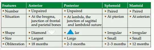 Features of different fontanelles