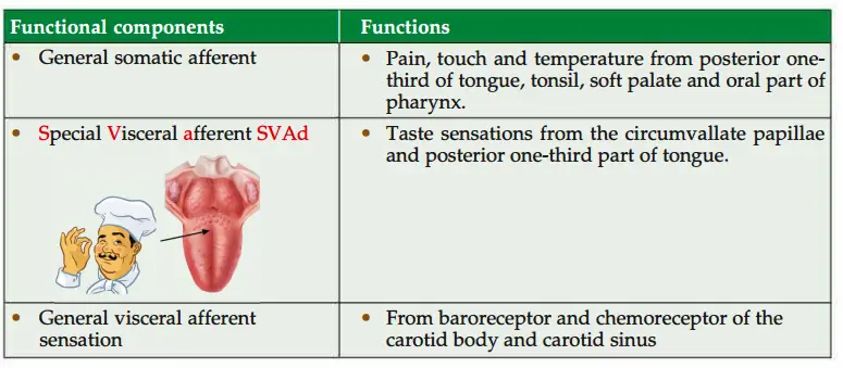 Functional components and the functions of the glossopharyngeal nerve