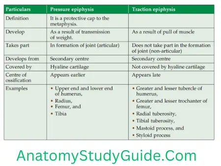 General Anatomy Skeleton Comparision Between Pressure Epiphysis And Traction Epiphysis