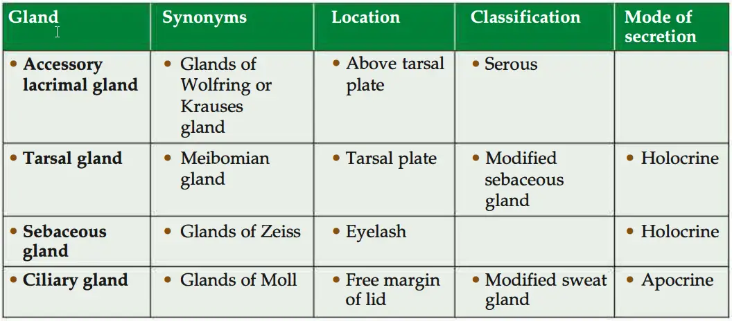 Glands in the eyelid and their details