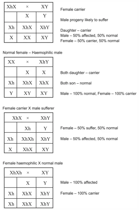 Mendelian genetics X- Linked recessive traits