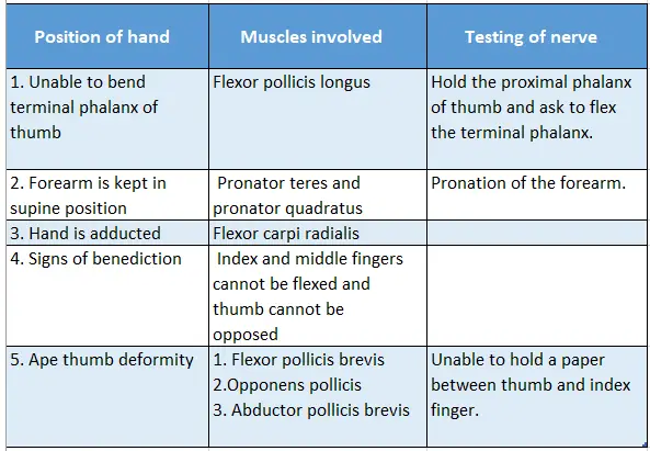 Muscles Of The Anterior Forearm Various Positions Of Hand, Muscles Involved And Tests Carried For Muscle Testing
