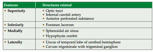 Relations of structure of cavernous sinus