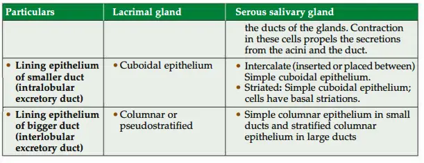 Structural differences between lacrimal gland and serous salivary gland (Contd.)
