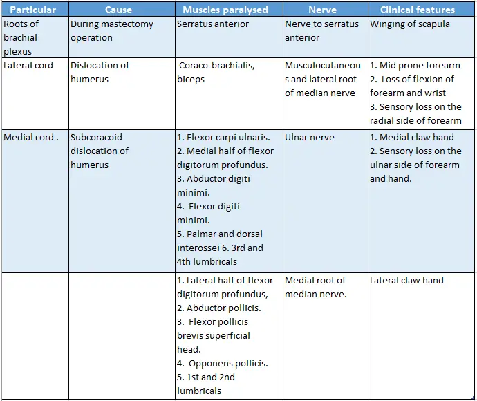 The Axilla Region Boundaries Walls Contents And Applied Anatomy ...