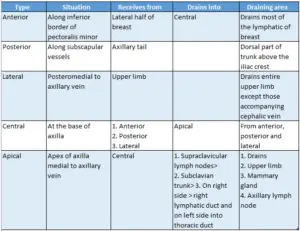 The Axilla Region Boundaries Walls Contents And Applied Anatomy ...