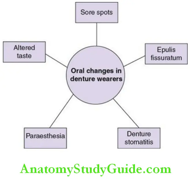 Age changes in the oral cavity and teeth oral changes in denture wearers