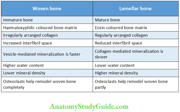 Alveolar bone Difference between Woven Bone and Lamellar Bone