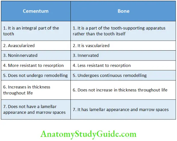 Cementum Differences Between Cementum and Bone