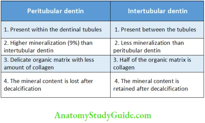 Dentin Differences between Peritubular Dentin and Intertubular Dentin