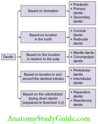 Dentin classification of dentin