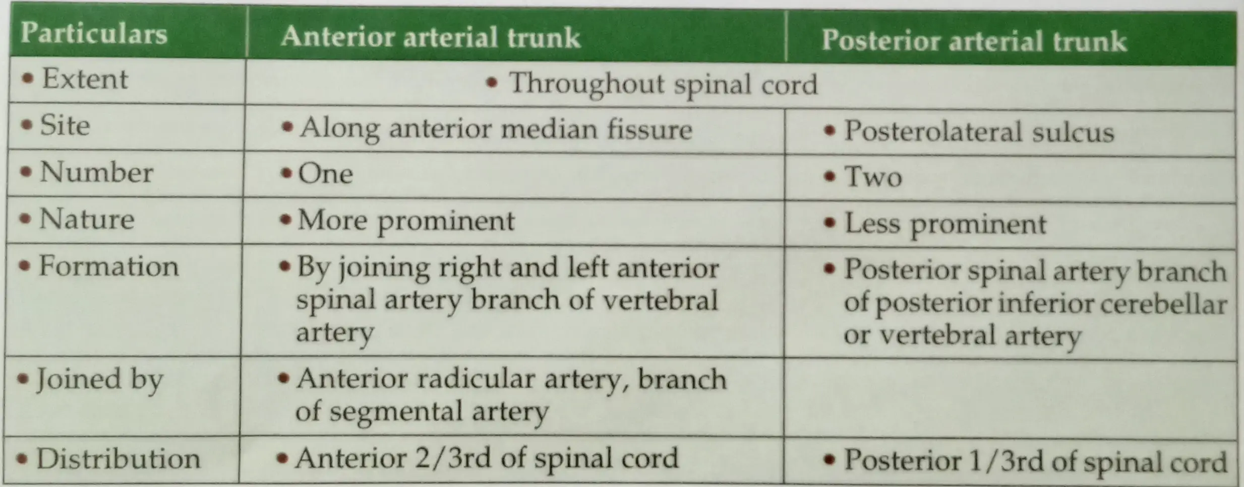 Details About Anterior And Posterior Arterial Trunks