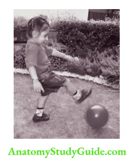 Developmental assessment Able to kick a ball at 2½ years of age
