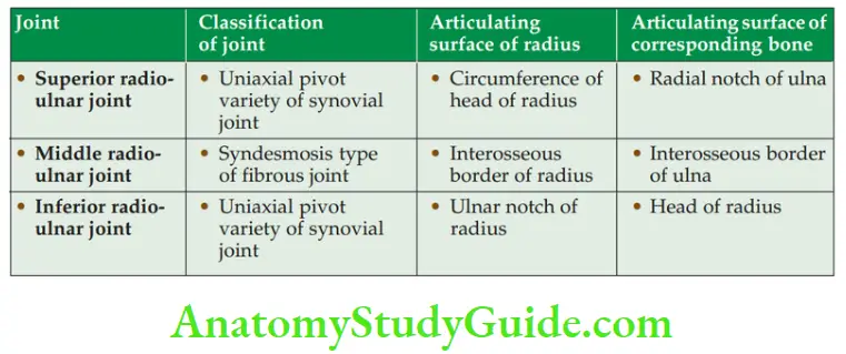 Joints Of Upper Limb Factors Stabilizing Shoulder Adduction Branches Of Ulnar Nerve Coracoacromial Arch Anatomical Classification Of Joint .