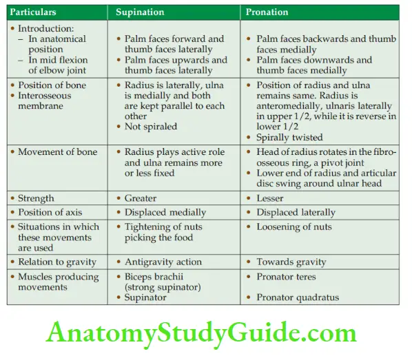 Joints Of Upper Limb Factors Stabilizing Shoulder Adduction Branches Of Ulnar Nerve Coracoacromial Arch Comparison Between Supination And Pronation