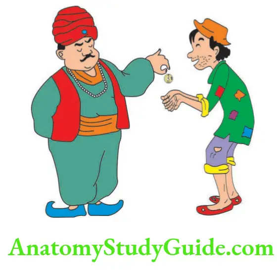 Joints Of Upper Limb Factors Stabilizing Shoulder Adduction Branches Of Ulnar Nerve Coracoacromial Arch Kings Pronate And Beggars Supinate