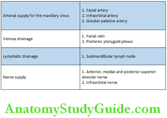 Maxillary Sinus Vessels, Lymph and Nerve Supply of the Maxillary Sinus