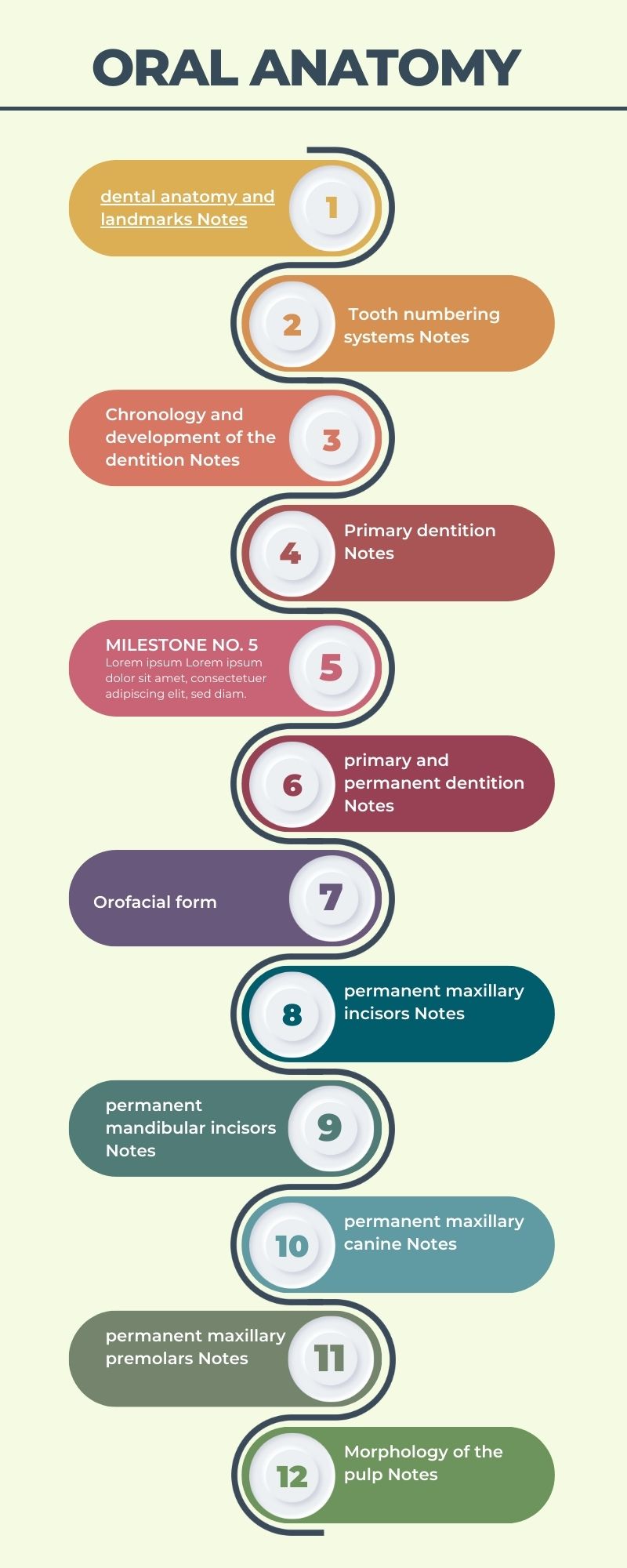 Oral Anatomy