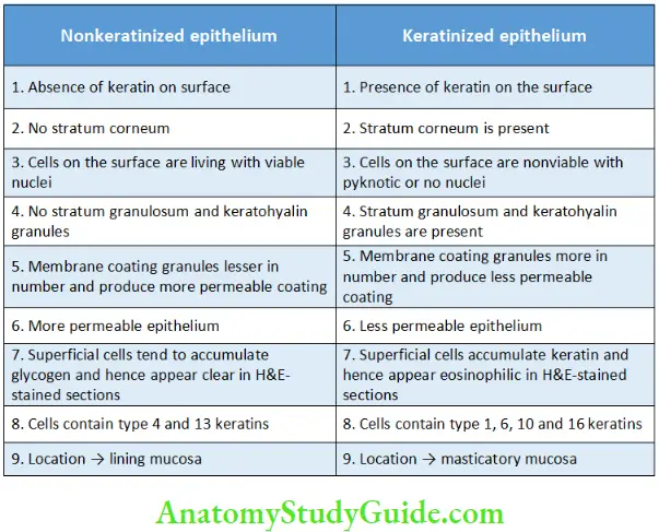 Oral mucous membrane Differences between Keratinized and Nonkeratinized Epithelium