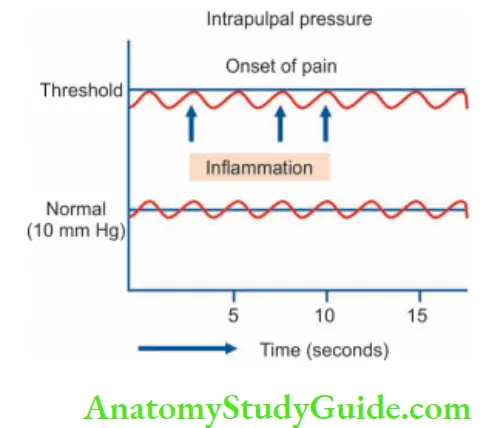 Pathologies Of Pulp And Periapex Notes Increased intrapulpal pressure causing pulpal pain.