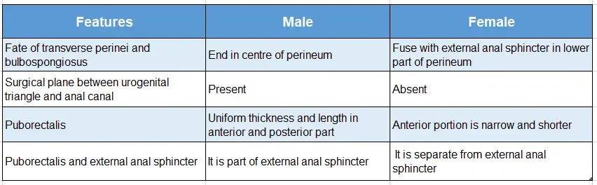 Perineum Features of External anal sphincter of male and female