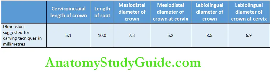 Primary Dentition measurement of deciduous maxillary first molar