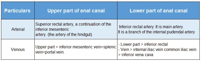 Rectum And Anal Canal Blood supply of anal canal