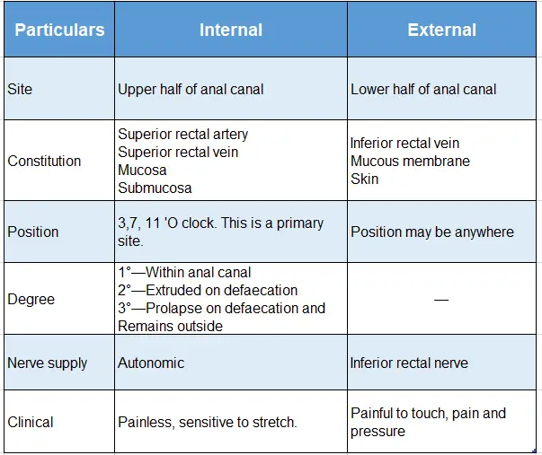 Rectum And Anal Canal Details of the piles