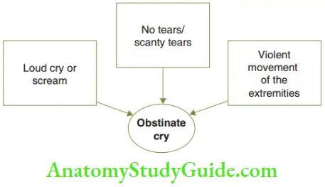 Scientific Understanding Of Child Behaviour Features Of Obstinate Cry