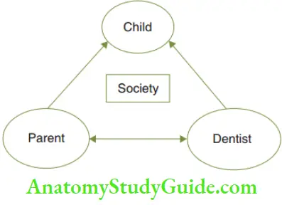 Scope Of Paediatric Dentistry The Paedodontic Treatment Triangle