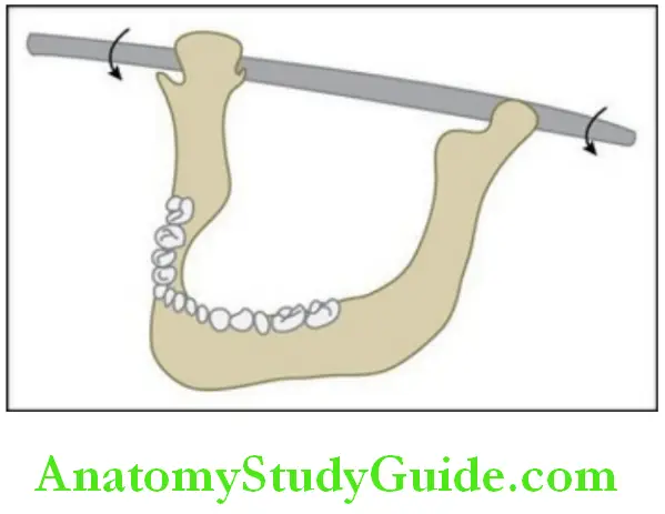 Temporomandibular joint rotation along the horizontal axis