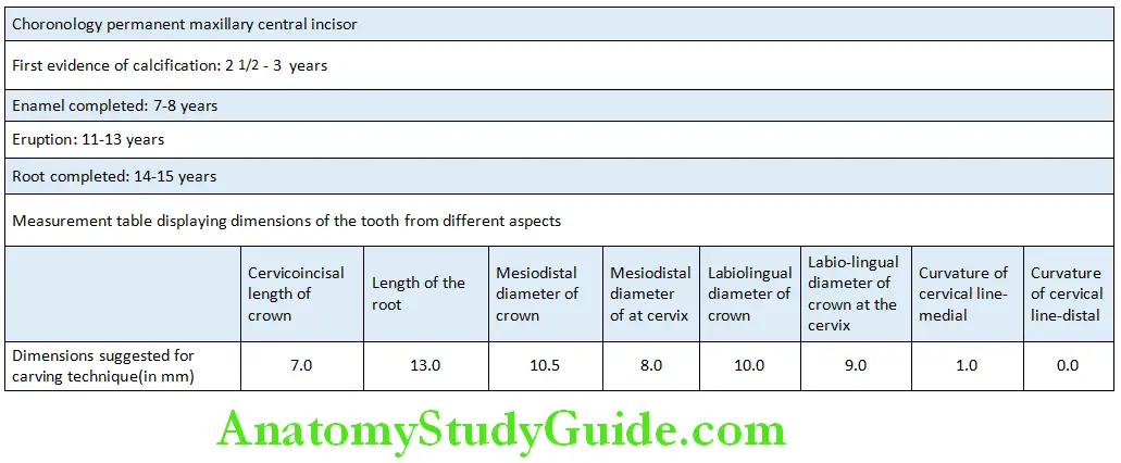 The Permanent Mandibular Molars Mandibular second Molar Chronology and Measurements