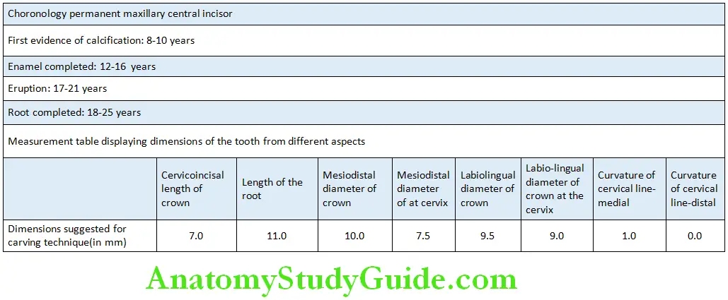 The Permanent Mandibular Molars Mandibular third Molar Chronology and Measurements