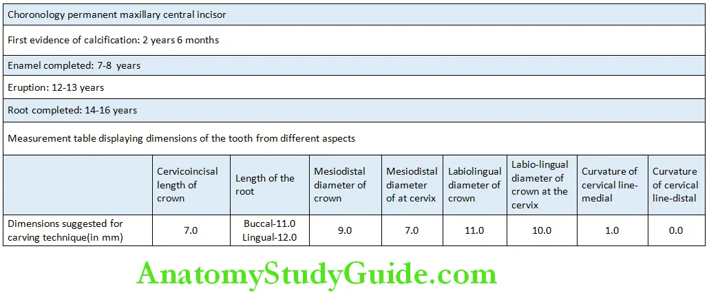 The Permanent Maxillary First Molars Maxillary second Molar Chronology and Measurements