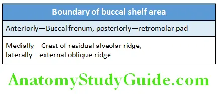 Anatomical Landmarks Edentulous Mandibular Arch boundaries of buccal shelf area