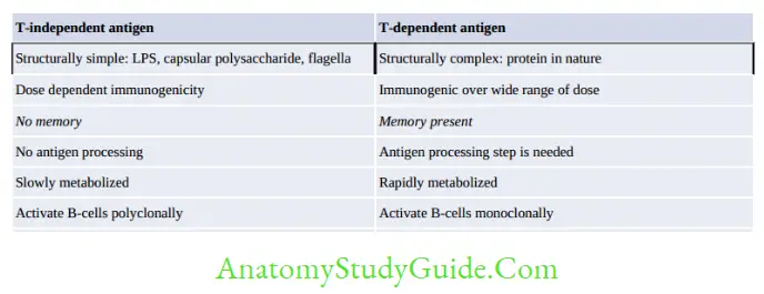 Antigen, Antibody, Antigen-Antibody Reaction, and Complement T-independent (TI) Antigens