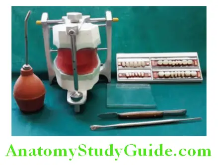 Arrangement Of Artificial Teeth mounting on articulator