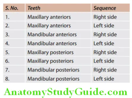 Arrangement Of Artificial Teeth sequence of arrangement of teeth