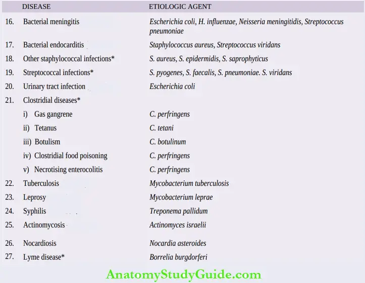 Bacterial Diseases Pathology Notes - Anatomy Study Guide