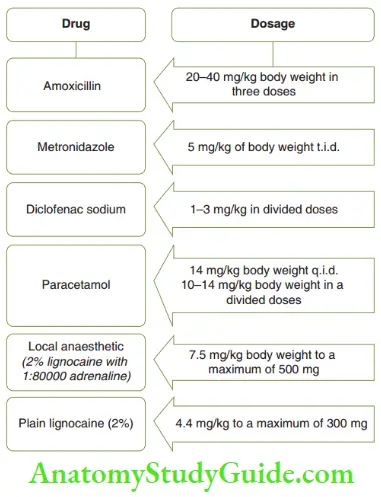 Basic Paediatric Medicine Drug Dosage Calculation As Per Body Weight In Kilograms