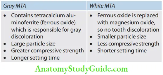 Bioceramics In Endodontics Difference Between Gray And White MTA