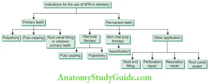 Bioceramics In Endodontics Indications Of Use Of MTA