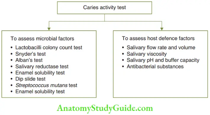 Caries Activity Tests Caries Activity Test To Assess Microbial Factors And Host Defence