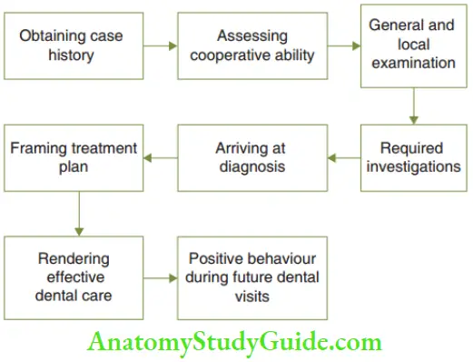 Case History Protocol Of The Dental Visit Of A Child